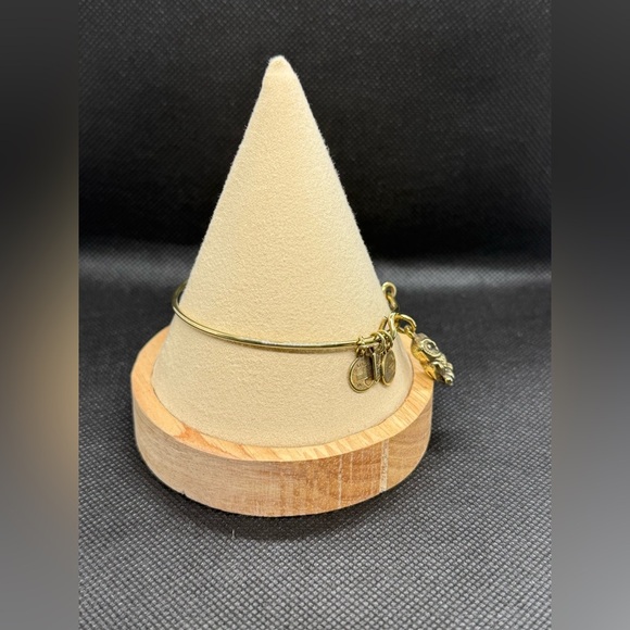 🦉ALEX AND ANI🦉Owl Charm Bangle in Shiny Gold/EUC - Picture 5 of 7